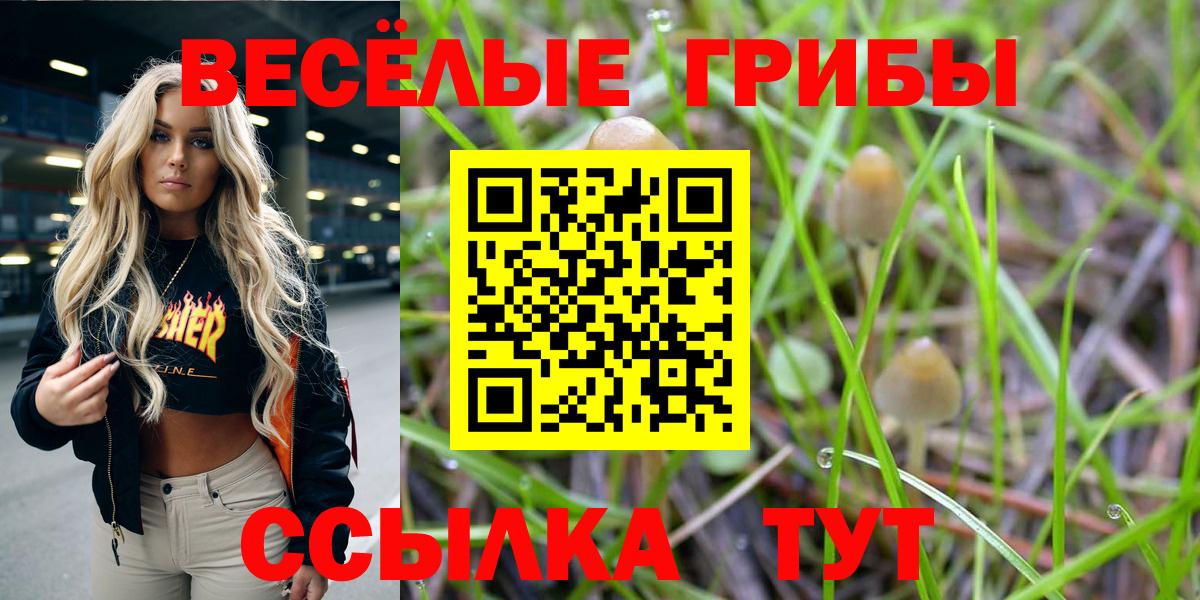 Галлюциногенные грибы прущие грибы  Вход с VPN  Кинель 